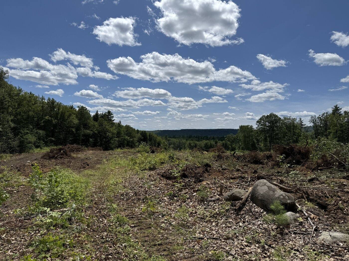 A cleared Maine site assessment overlooking rolling forested hills under a bright summer sky