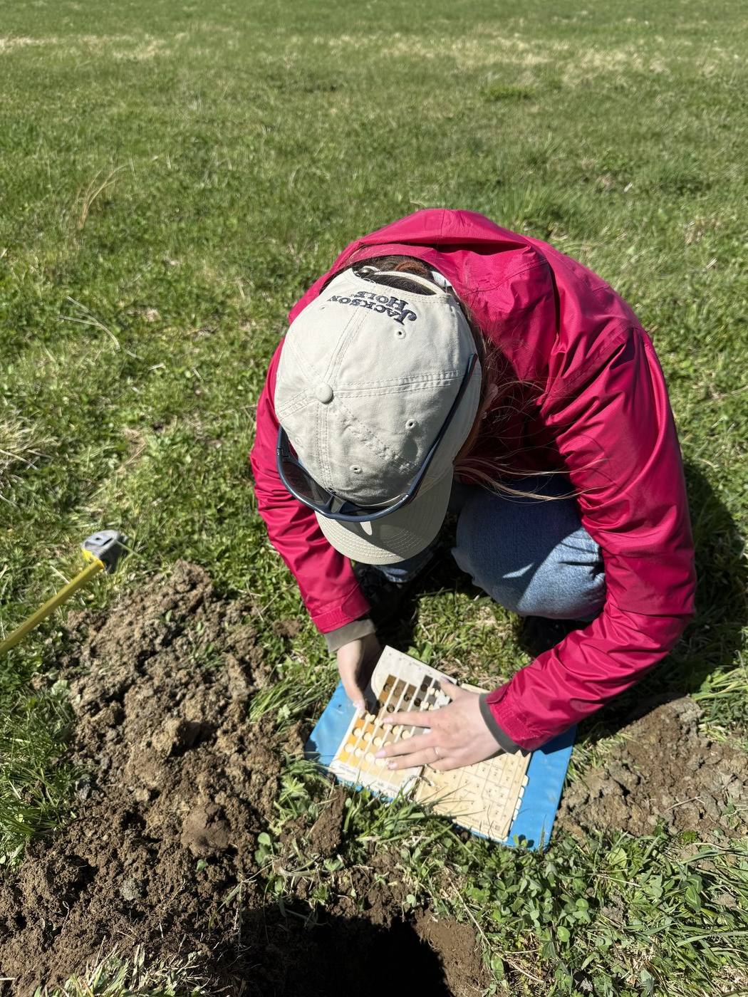 Sophia L. Knapp matching soil color against a Munsell chart beside a freshly dug test pit