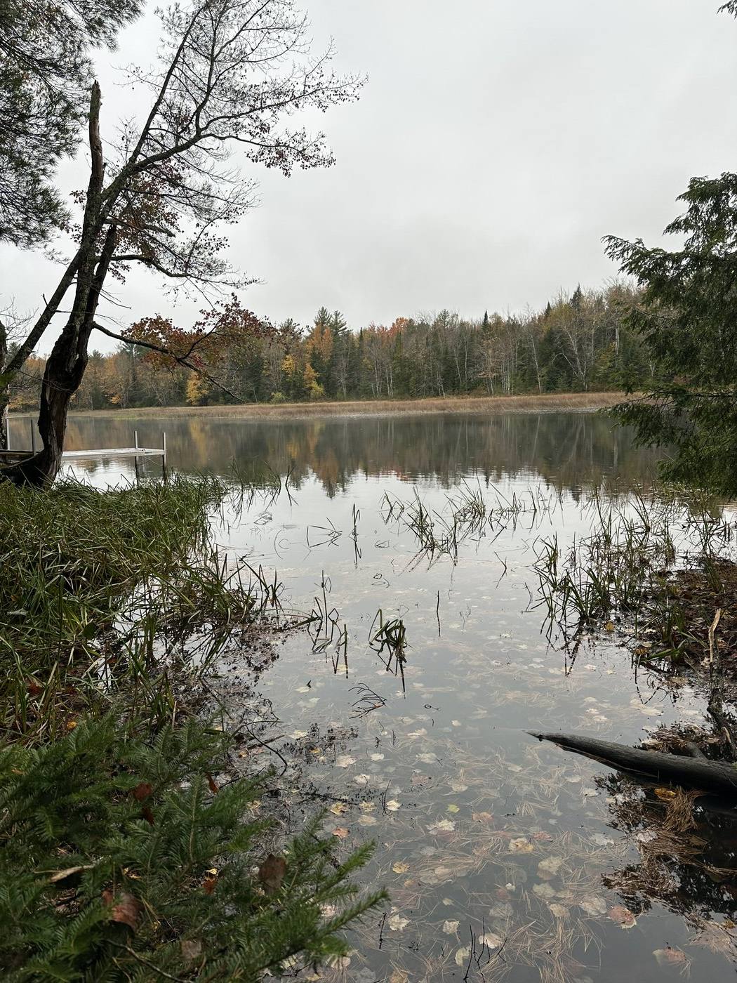 A quiet Maine pond and wetland edge with autumn foliage reflected in still water