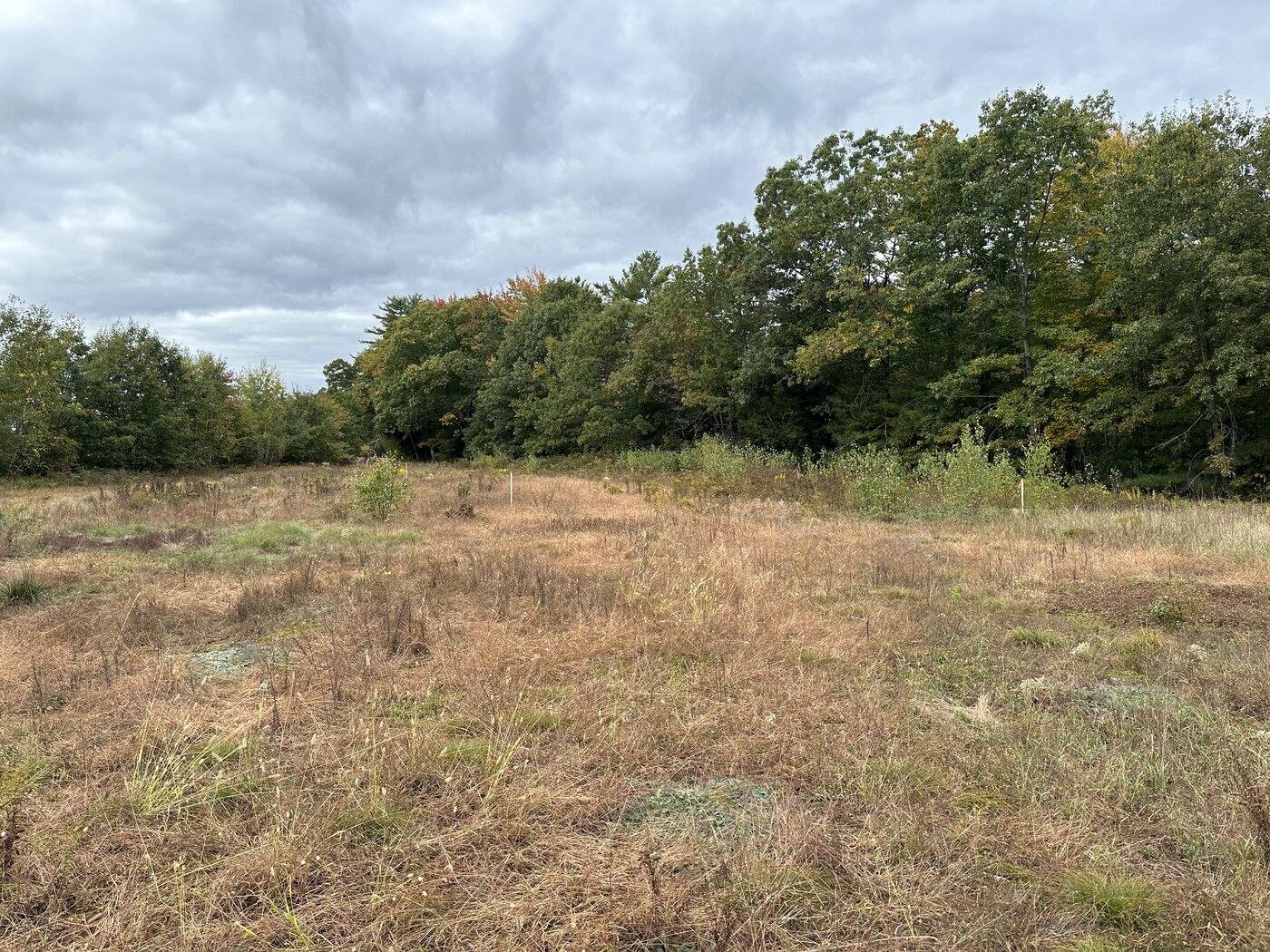 A field crew taking measurements across an open Maine parcel